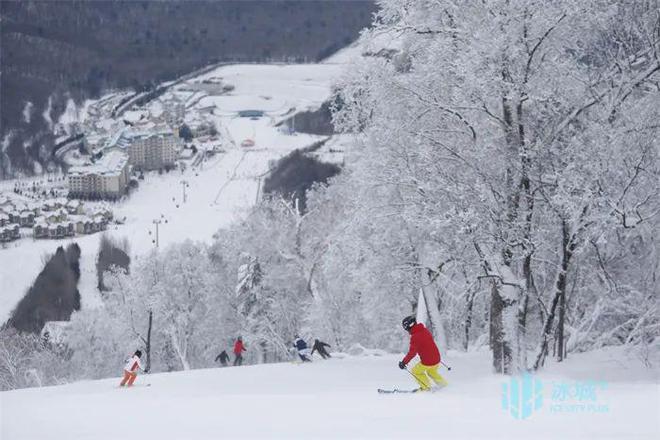 2024—2025雪季接待游客121万人次｜亚布力滑雪度假区交上答卷、展开规划图(图6)