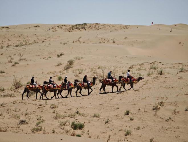 武威凉州区长城镇打造特色沙漠文旅新地标(图3)