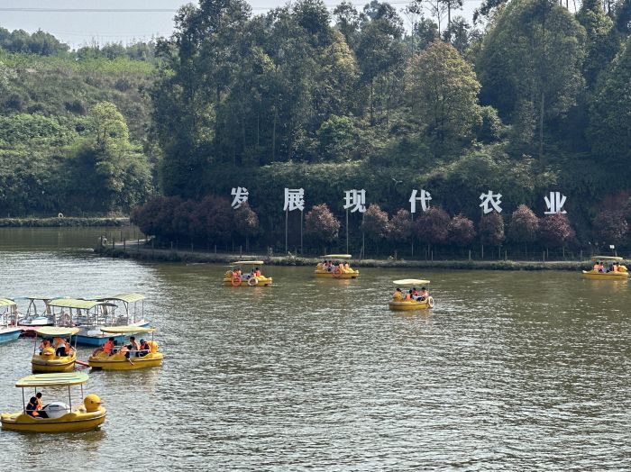 宜宾市翠屏区用活空港资源打造乡村“微度假”新场景(图3)