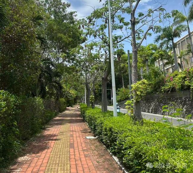 三亚毒蛇咬人事件那些忽视的真相！(图1)