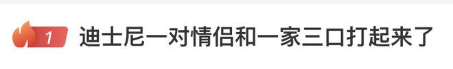 上海迪士尼一对情侣和一家三口打架警方通报：双方因拍照引发冲突造成2名男子互有皮外伤(图2)