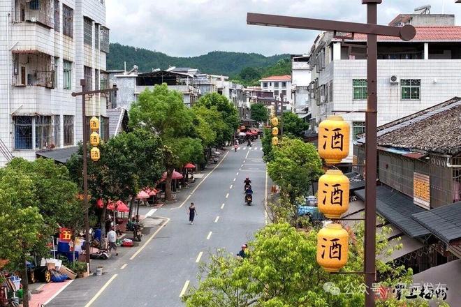 发展有热度幸福有质感！平远奋楫“百千万”展现美丽蝶变(图2)