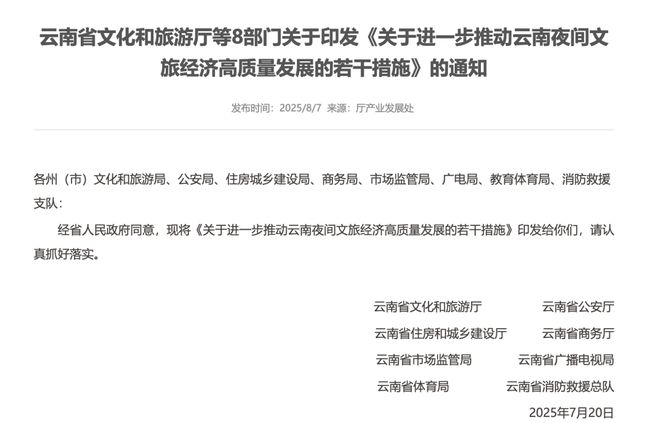 夜间经济燃爆这个夏天！万亿市场下声光视讯行业如何抓住机遇？(图11)