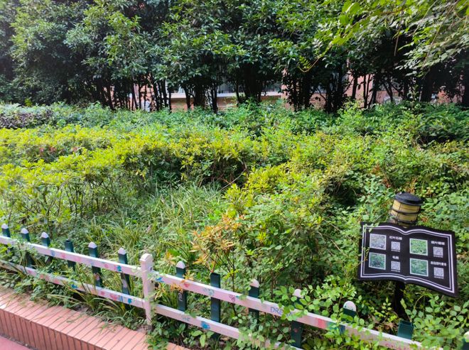 社区“新乐园”、幸福议事吧……静安这个居民区将民生“愿景”变幸福“实景”(图2)