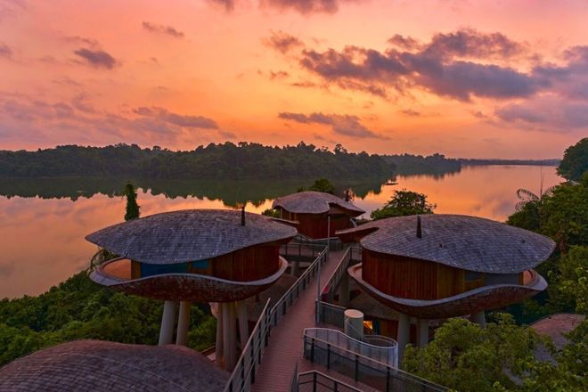 新加坡600万人口时代:外国人疯狂涌入的真相!(图13)