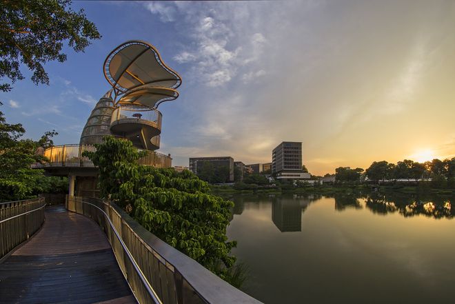 新加坡600万人口时代:外国人疯狂涌入的真相!(图7)