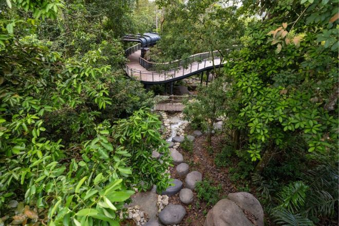 新加坡600万人口时代:外国人疯狂涌入的真相!(图25)