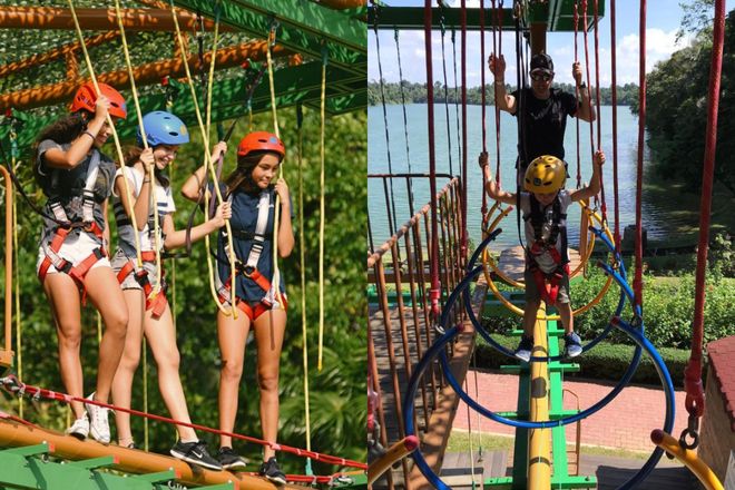 新加坡600万人口时代:外国人疯狂涌入的真相!(图31)