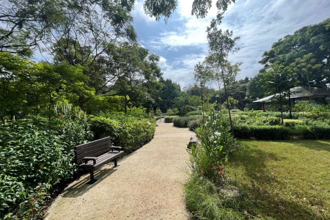 新加坡600万人口时代:外国人疯狂涌入的真相!(图43)