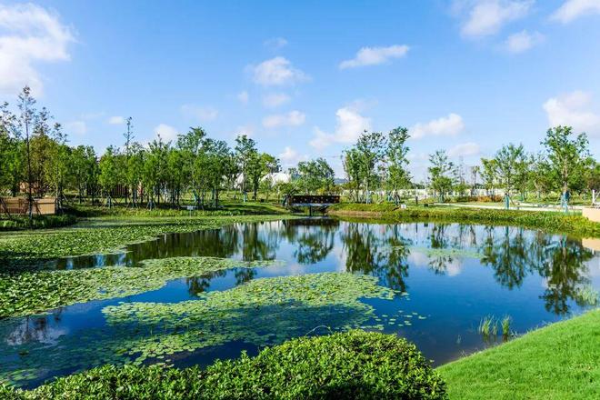 拆围墙、扩湖面、添童趣……闵行这个“25岁+”的公园焕新亮相!(图1)