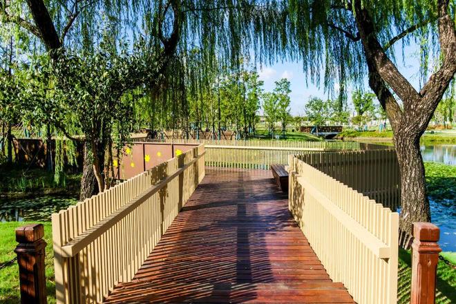 拆围墙、扩湖面、添童趣……闵行这个“25岁+”的公园焕新亮相!(图2)