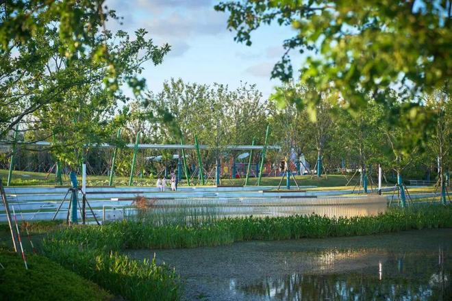 拆围墙、扩湖面、添童趣……闵行这个“25岁+”的公园焕新亮相!(图5)