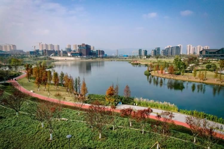 重庆市城市管理局(图2)