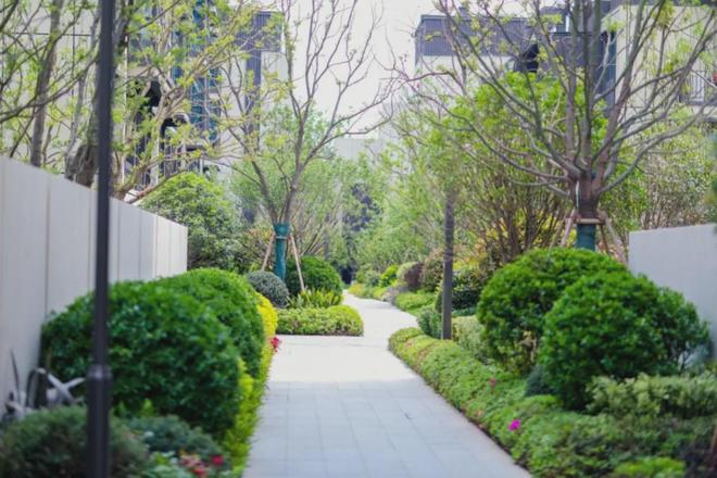 @大华梧桐樾售楼处发布：大华梧桐樾新体验最新售楼处电话！(图10)