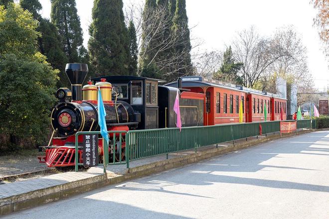 9级风浪中仍运营？景区小火车坠海事故暴露安全管理三大漏洞(图3)