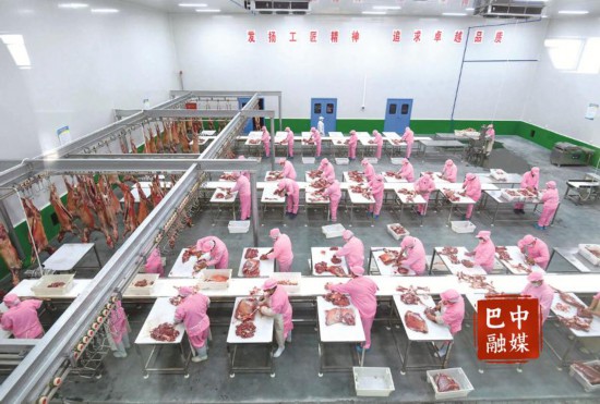 巴中:奋力书写新时代振兴发展新篇章(图2)