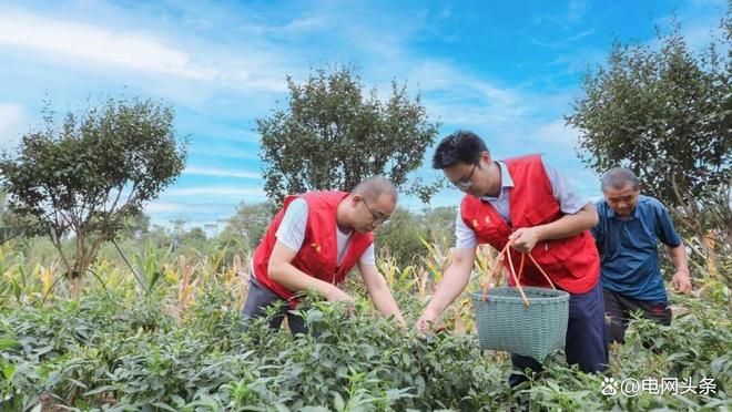 乡村振兴很来电！(图2)