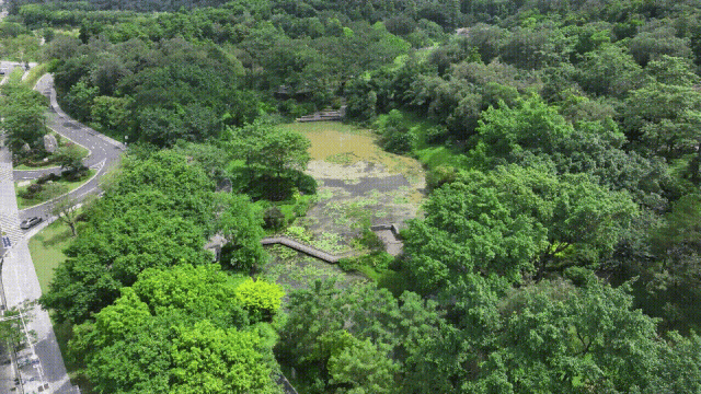 今天开赛！来广州体育馆看全运最全攻略来啦(图2)