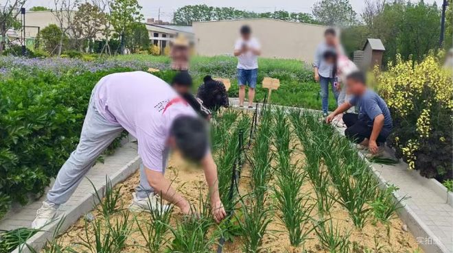 揭秘！一文读懂尚湾林语优缺点！尚湾林语值得买吗？(图23)