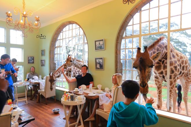 酒店“萌狮叫早”之死谁的锅？(图4)