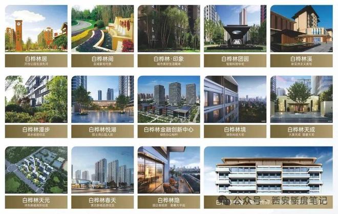 西安顶奢新标杆！白桦林书香售楼处发布：白桦林书香首发(图2)
