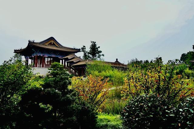 寻访“消失的花博会”我在郑州发现了这些宝藏园林(图3)