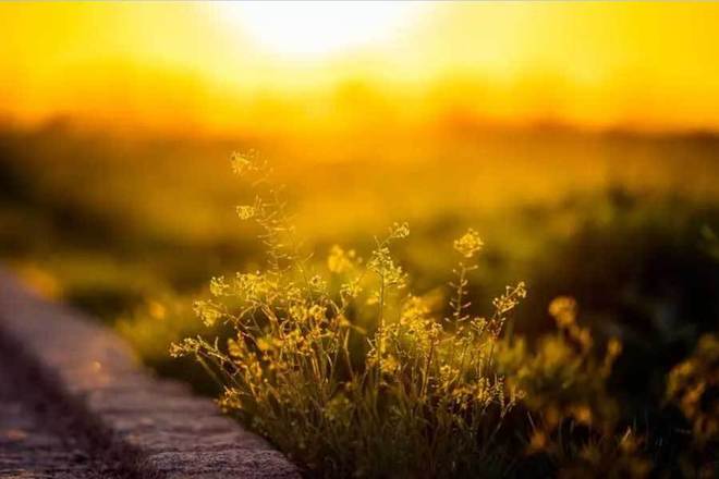 冰雪旅游产业蓬勃发展带动北方地区经济活力(图2)