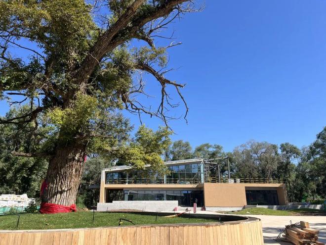 投资约41亿元！呼和浩特新增一个休闲度假区将于明年9月试运营！快看离你家远不远？(图5)