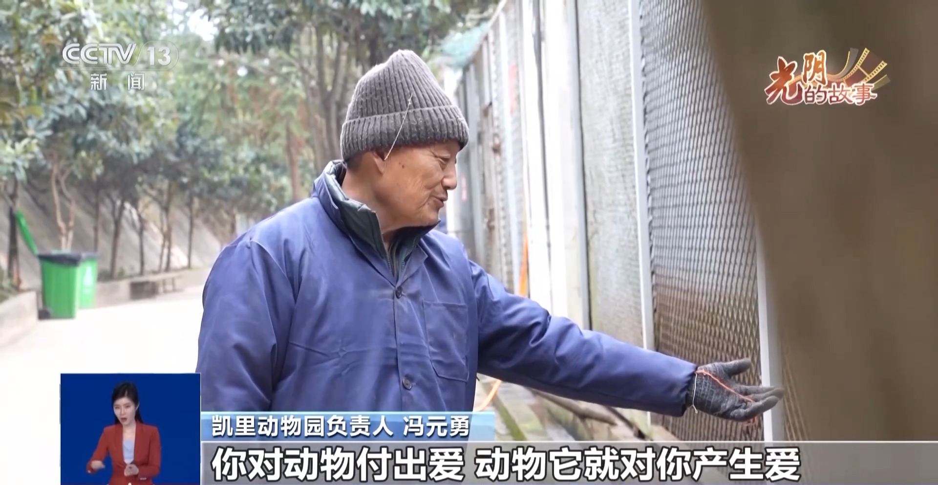 从默默无闻到圈粉无数山林角落的“袖珍动物园”成了打卡地(图2)