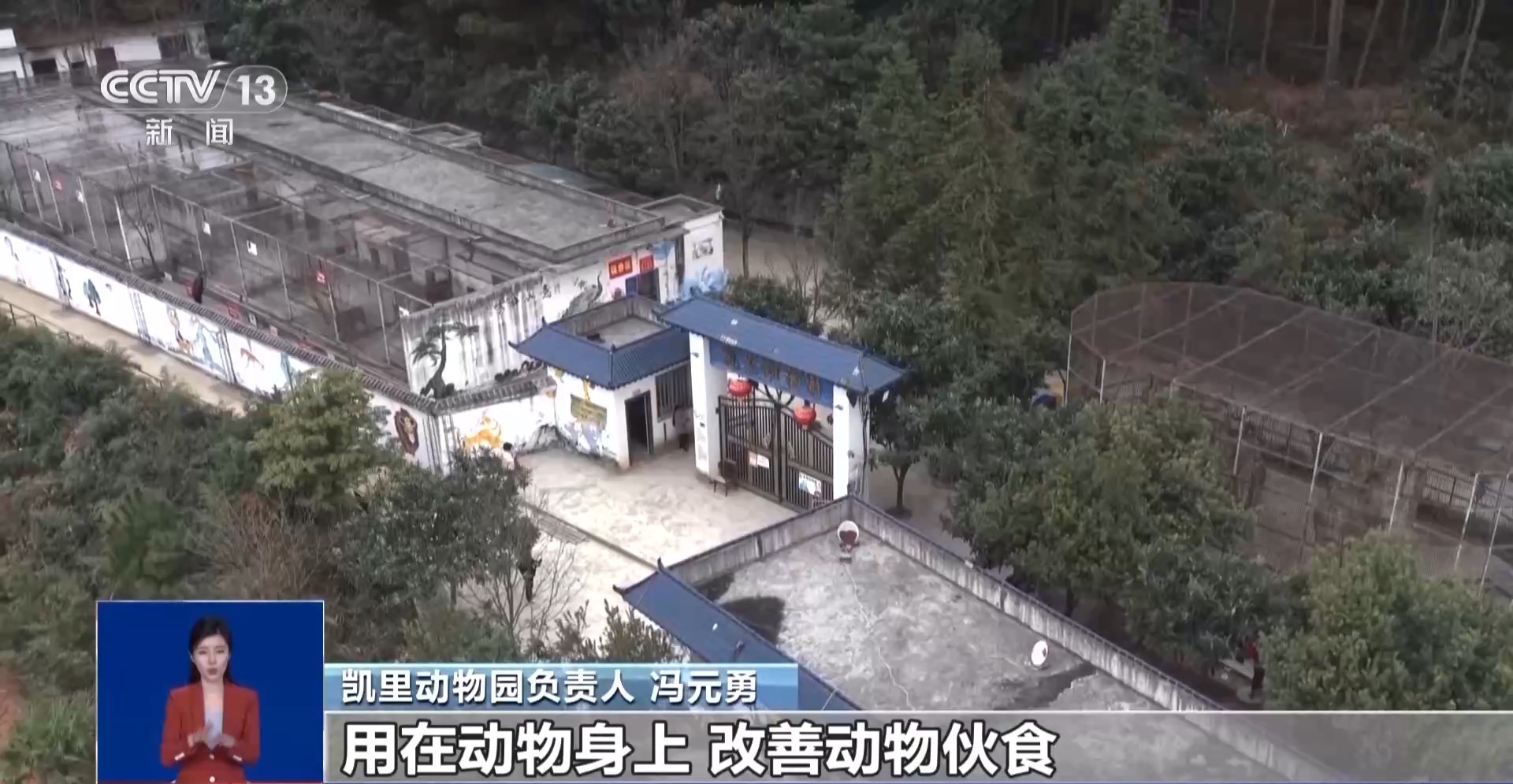 从默默无闻到圈粉无数山林角落的“袖珍动物园”成了打卡地(图8)