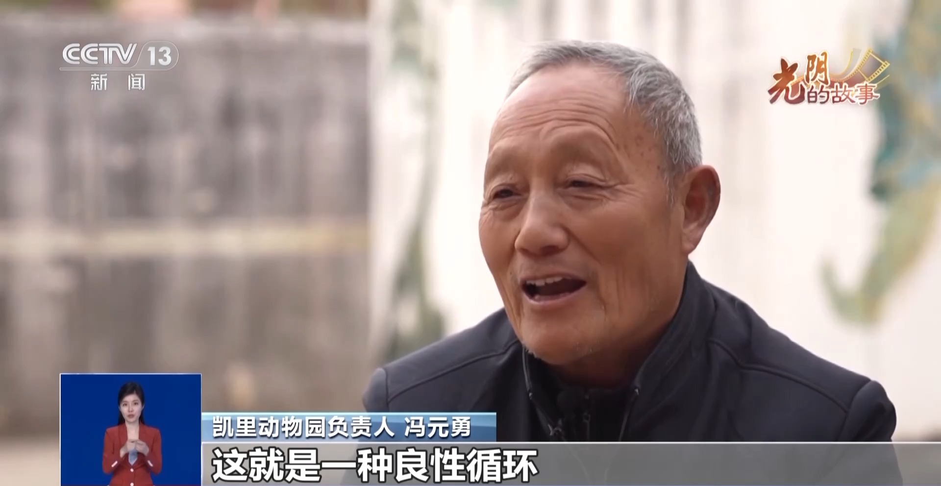 从默默无闻到圈粉无数山林角落的“袖珍动物园”成了打卡地(图11)