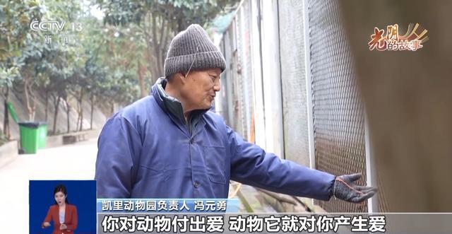 从默默无闻到圈粉无数山林角落的“袖珍动物园”成了远近闻名的打卡地(图2)