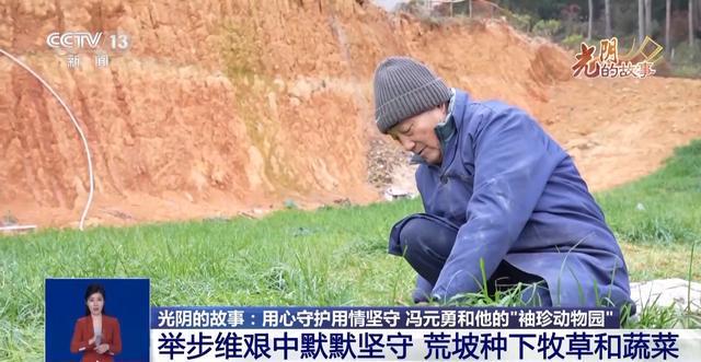 从默默无闻到圈粉无数山林角落的“袖珍动物园”成了远近闻名的打卡地(图4)