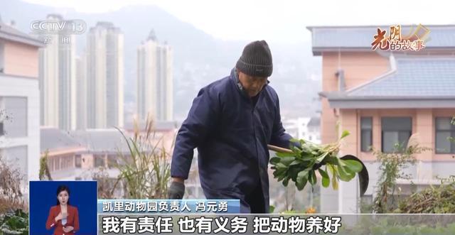 从默默无闻到圈粉无数山林角落的“袖珍动物园”成了远近闻名的打卡地(图5)