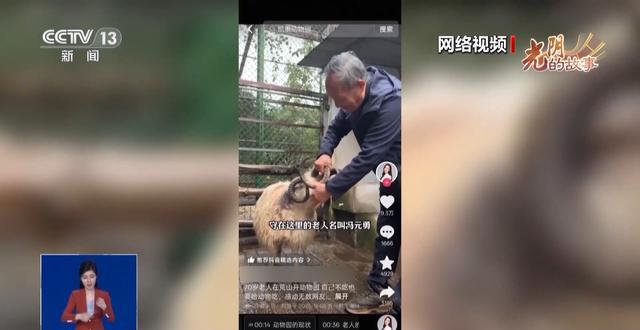 从默默无闻到圈粉无数山林角落的“袖珍动物园”成了远近闻名的打卡地(图6)