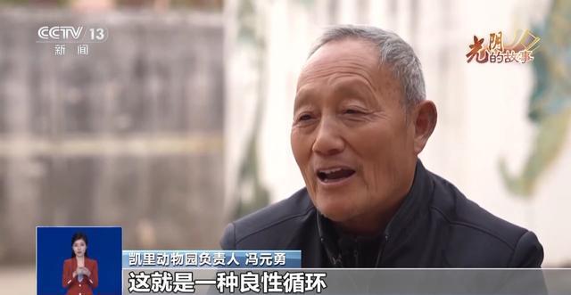 从默默无闻到圈粉无数山林角落的“袖珍动物园”成了远近闻名的打卡地(图11)