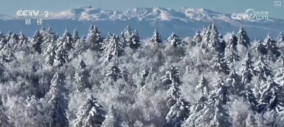 从“观赏”到“玩转”冰雪消费新趋势、新亮点持续拓展冬季消费新空间(图6)