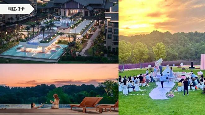 张文宁穿越周期:中国温泉产业的演进与四大突围方向(图19)