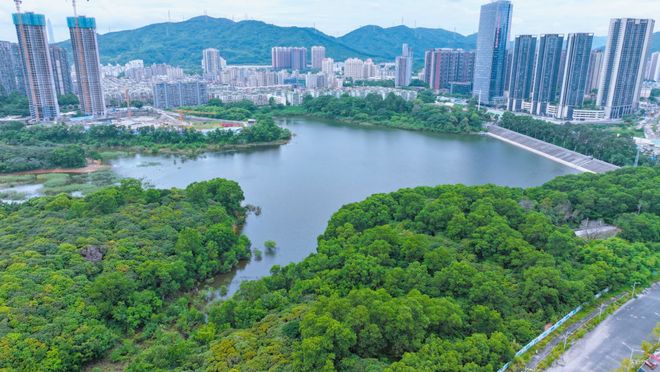 89㎡做四房两卫龙华鹏宸云筑高得房率多孩家庭一步到位(图10)