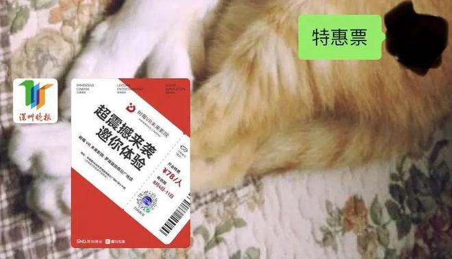 过山车在运行中突然暂停？上海乐高乐园再回应(图3)