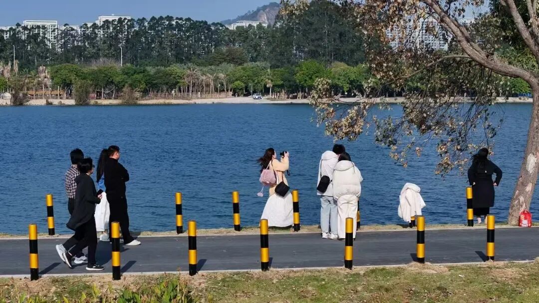 龙江岁月:时光筑巢共绘漳州民生幸福长卷(图4)