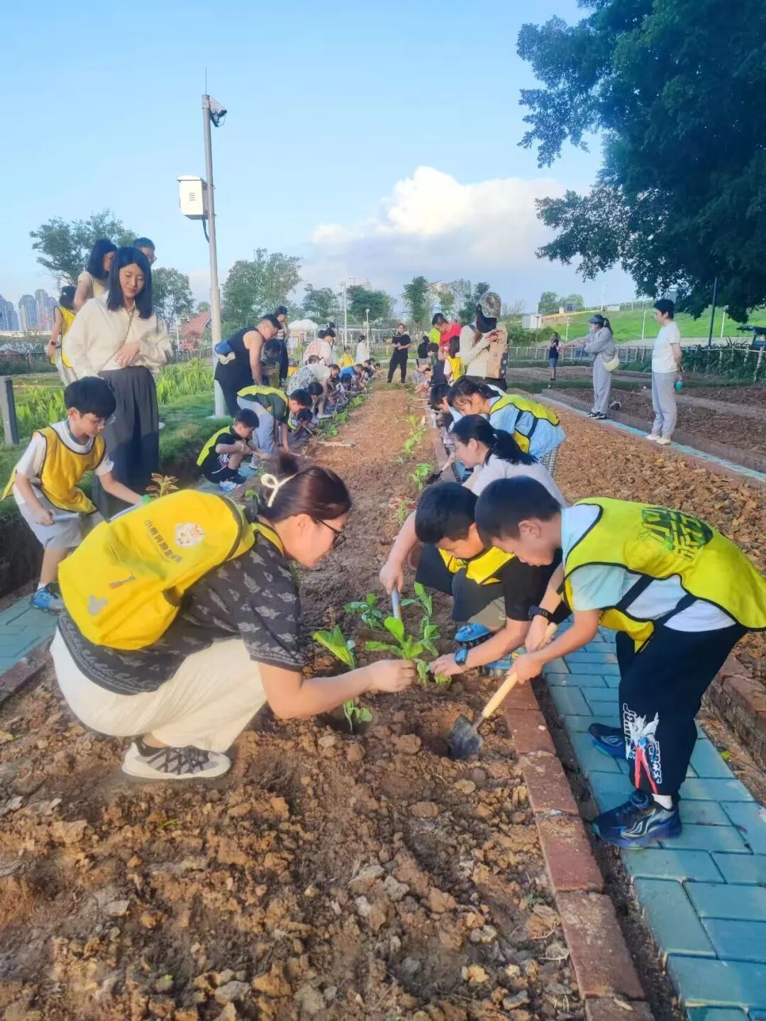 龙江岁月:时光筑巢共绘漳州民生幸福长卷(图6)