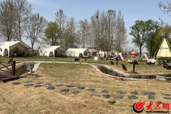一顶帐篷支起诗和远方滨州兴起露营潮(图1)