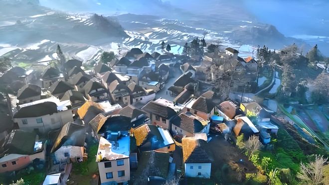 快讯关于乡村振兴命题他们给出了“做地衣不做大树”的解法(图3)