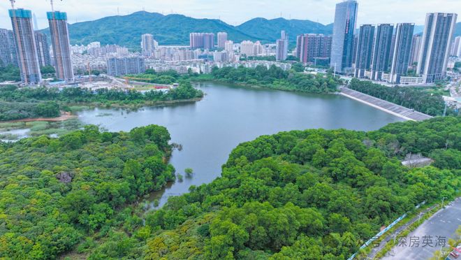 ㊖中建鹏宸云筑售楼处-鹏宸云筑网站-楼盘百科-深圳热搜好房(图1)